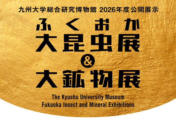 福岡　大昆虫展 大鉱物展